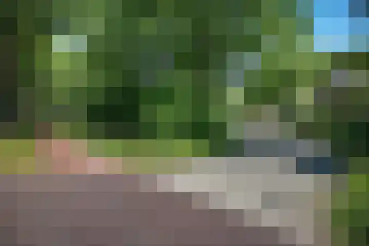 Houtlaan 6 Assen thumbnail 47