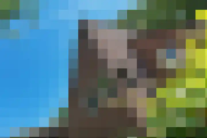 Houtlaan 6 Assen thumbnail 48