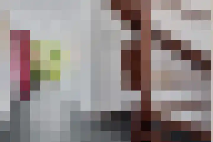 Houtlaan 6 Assen thumbnail 8