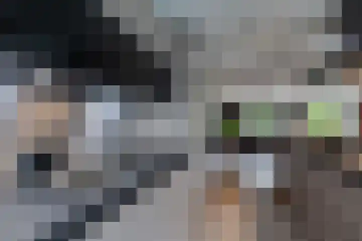 Houtlaan 97 Assen thumbnail 15