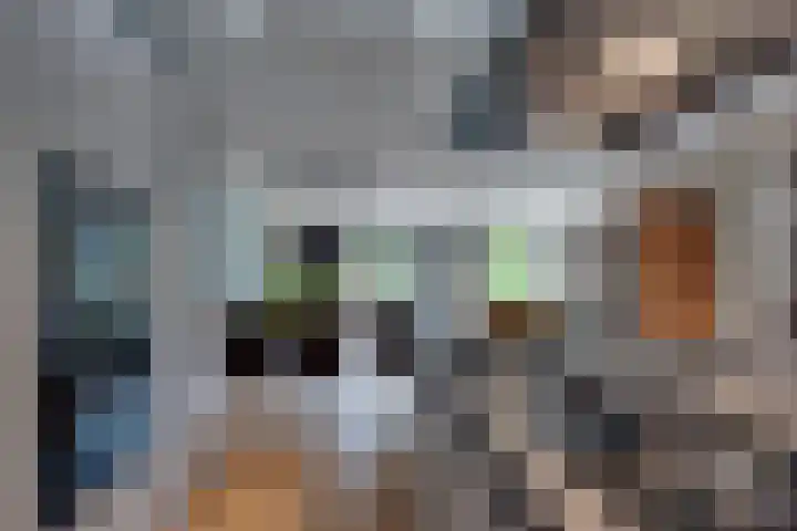 Houtlaan 97 Assen thumbnail 16