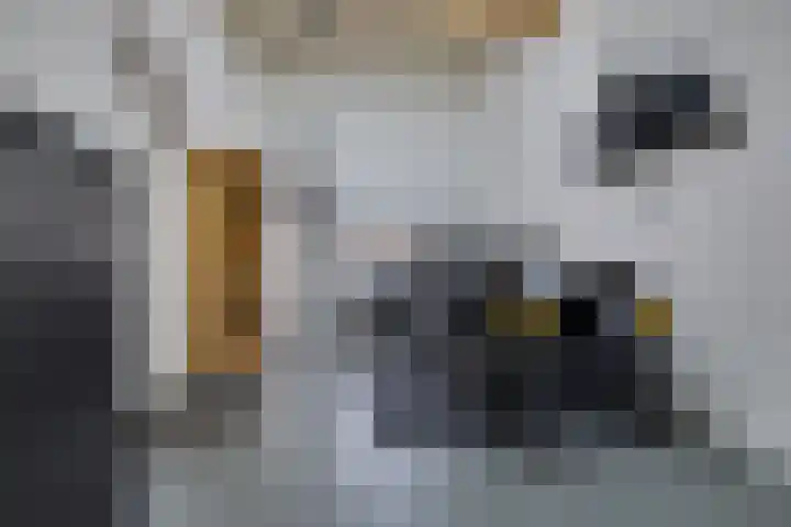 Houtlaan 97 Assen thumbnail 20