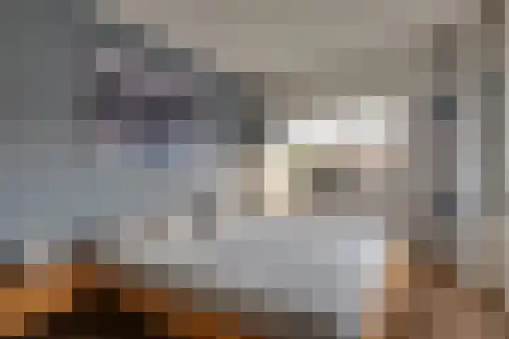 Houtlaan 97 Assen thumbnail 24