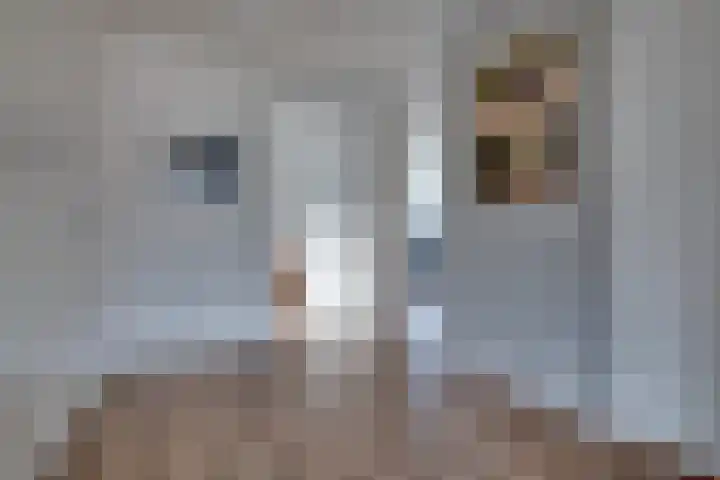Houtlaan 97 Assen thumbnail 27