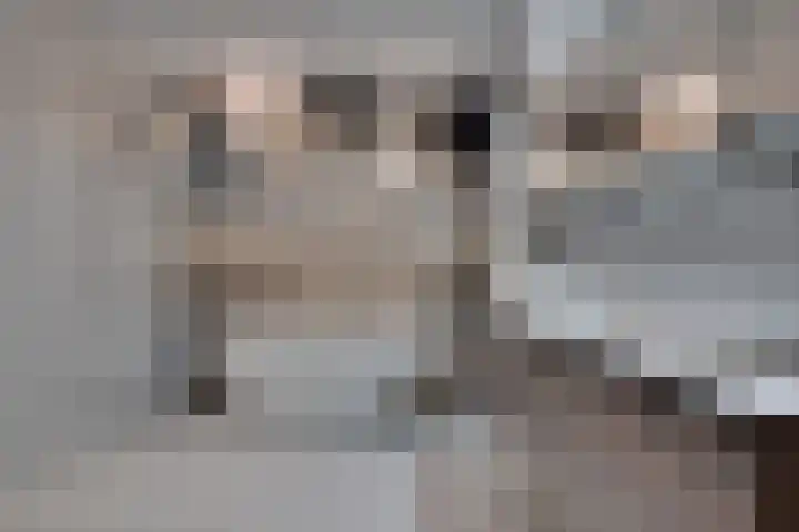 Houtlaan 97 Assen thumbnail 32