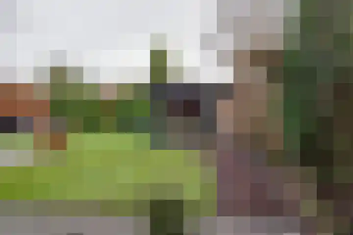 Houtlaan 97 Assen thumbnail 37