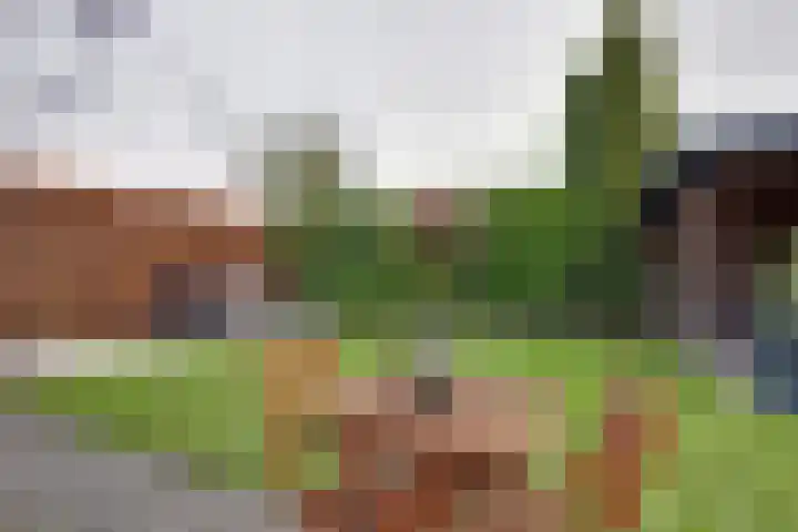 Houtlaan 97 Assen thumbnail 38