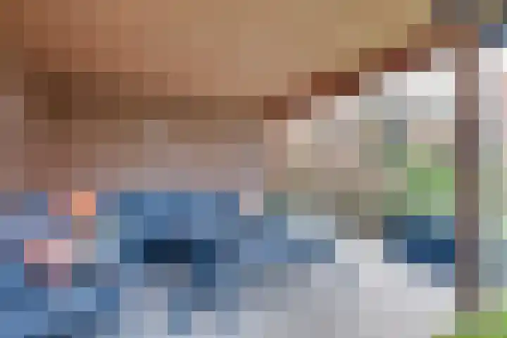 Houtlaan 97 Assen thumbnail 40