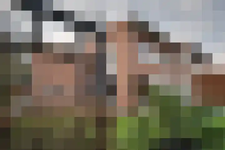 Houtlaan 97 Assen thumbnail 42