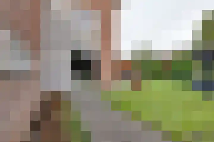 Houtlaan 97 Assen thumbnail 43