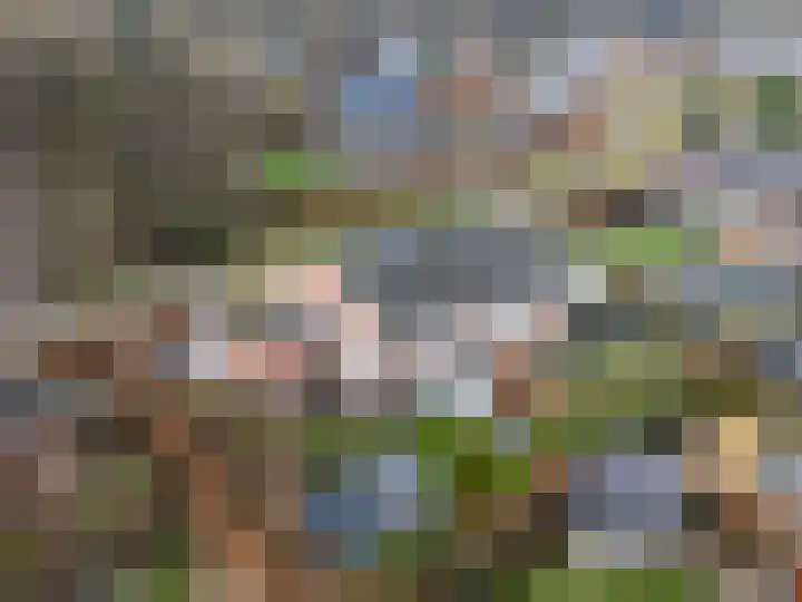 Houtlaan 97 Assen thumbnail 47
