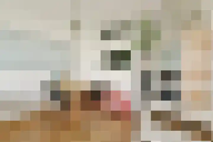 Houtmankade 43 3 Amsterdam thumbnail 7