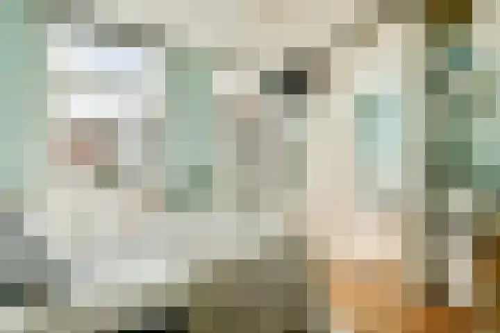 Houtmankade 43 3 Amsterdam thumbnail 9