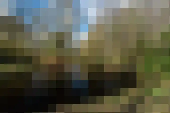 Houtmoune 13 Gorredijk thumbnail 34