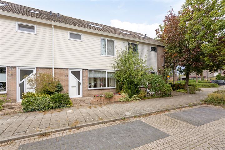 Houtrib 58 in Monnickendam foto