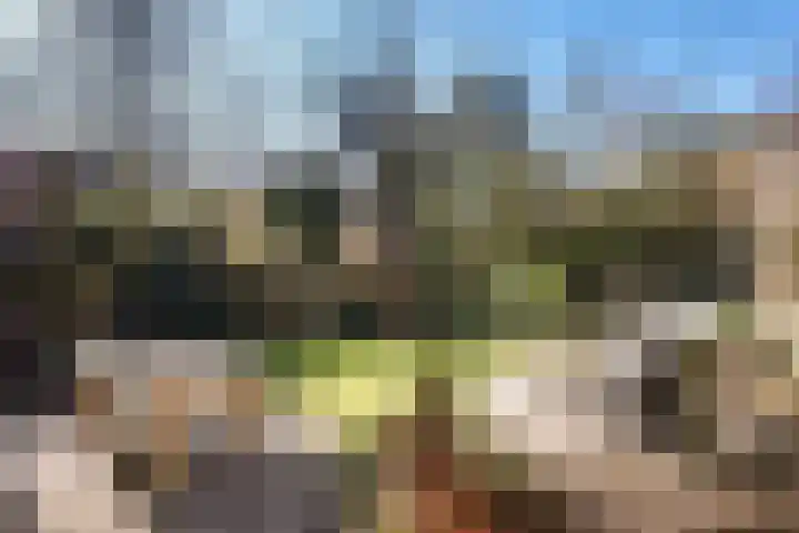 Houtrustlaan 34 Den Haag thumbnail 23