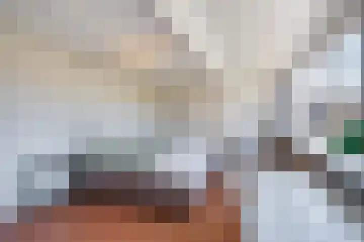 Houtrustlaan 34 Den Haag thumbnail 32