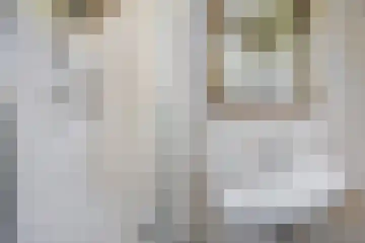 Houtrustlaan 34 Den Haag thumbnail 36