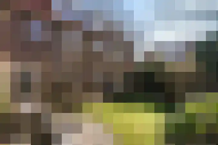 Houtrustlaan 34 Den Haag thumbnail 4