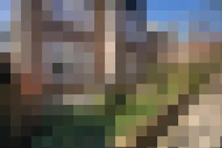 Houtrustlaan 34 Den Haag thumbnail 48
