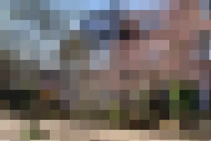 Houtrustlaan 34 Den Haag thumbnail 49