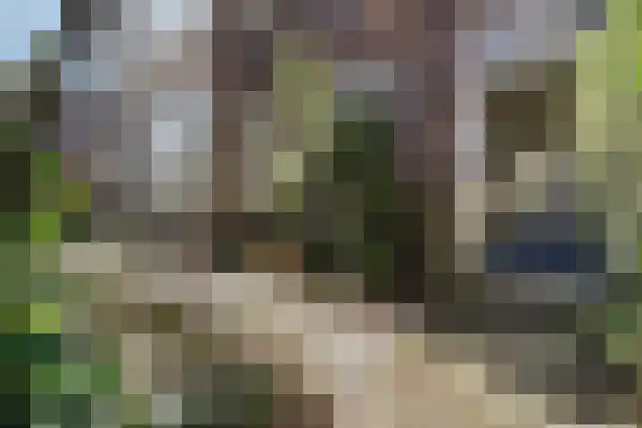 Houtrustlaan 34 Den Haag thumbnail 5