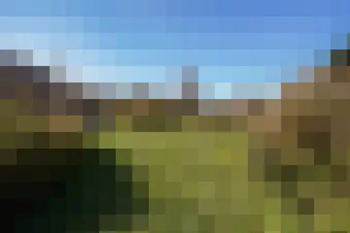 Houtrustlaan 34 Den Haag thumbnail 51