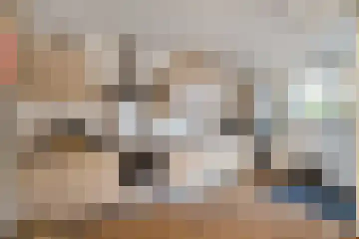 Houtrustweg 22 't Harde thumbnail 18