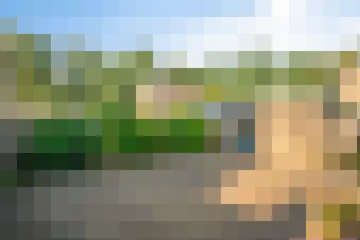 Houtrustweg 22 't Harde thumbnail 39