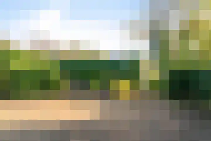 Houtrustweg 22 't Harde thumbnail 40