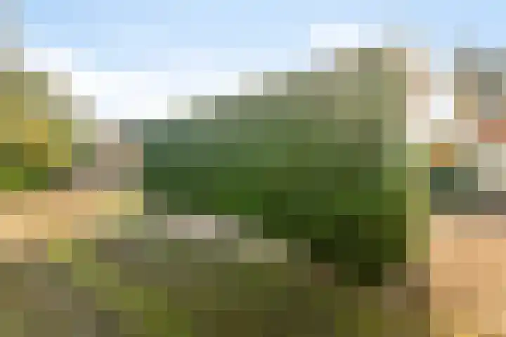 Houtrustweg 22 't Harde thumbnail 43
