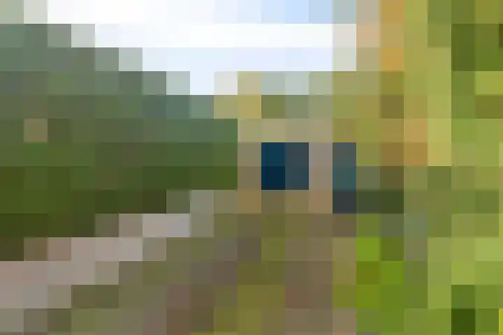 Houtrustweg 22 't Harde thumbnail 44