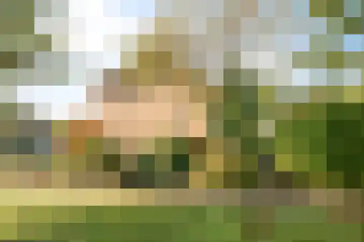 Houtrustweg 22 't Harde thumbnail 46