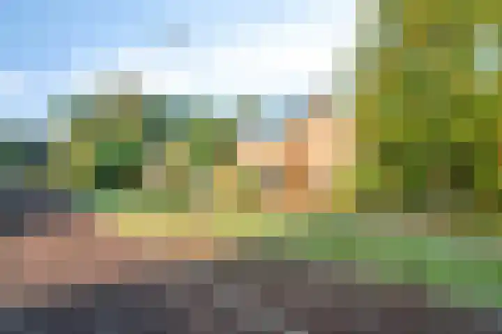 Houtrustweg 22 't Harde thumbnail 47