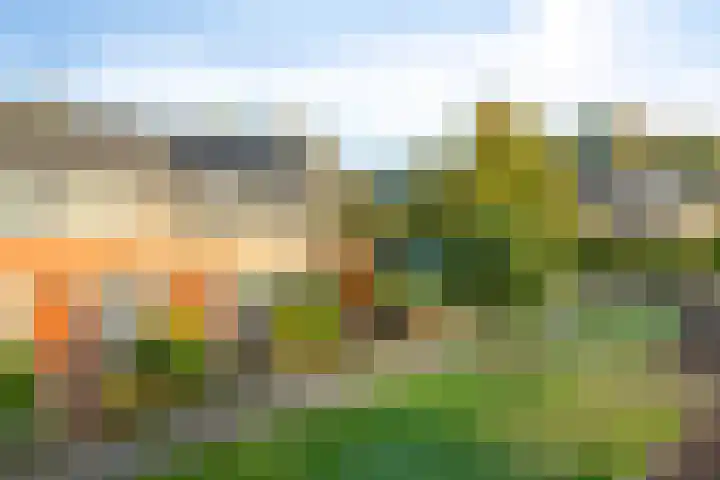 Houtrustweg 22 't Harde thumbnail 6
