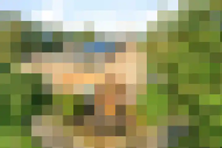 Houtrustweg 22 't Harde thumbnail 7