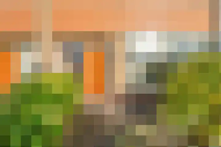 Houtrustweg 22 't Harde thumbnail 8