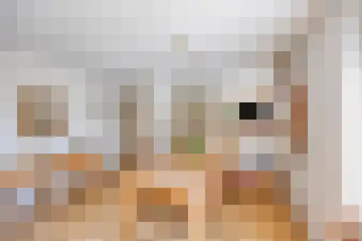 Houtsingel 4 Boskoop thumbnail 11