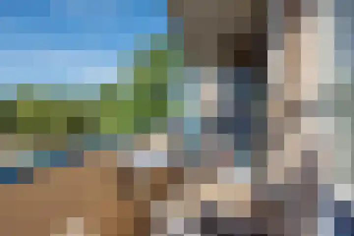 Houtsingel 4 Boskoop thumbnail 12
