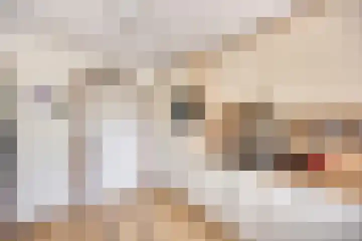 Houtsingel 4 Boskoop thumbnail 15