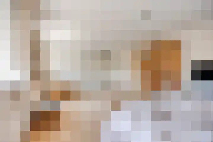 Houtsingel 4 Boskoop thumbnail 20