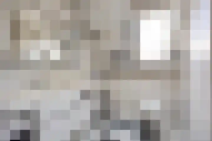 Houtsingel 4 Boskoop thumbnail 23