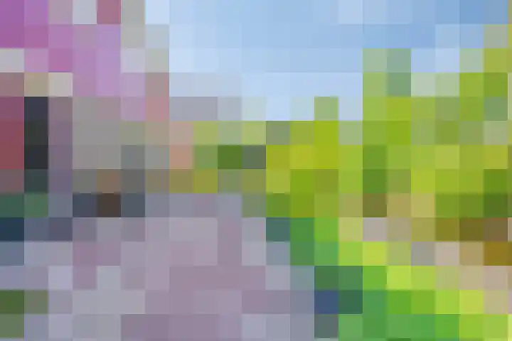 Houtsingel 4 Boskoop thumbnail 25