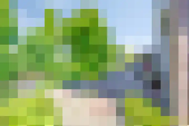 Houtsingel 4 Boskoop thumbnail 27