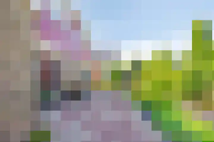 Houtsingel 4 Boskoop thumbnail 28