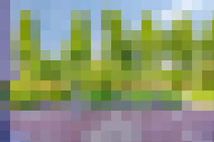 Houtsingel 4 Boskoop thumbnail 29