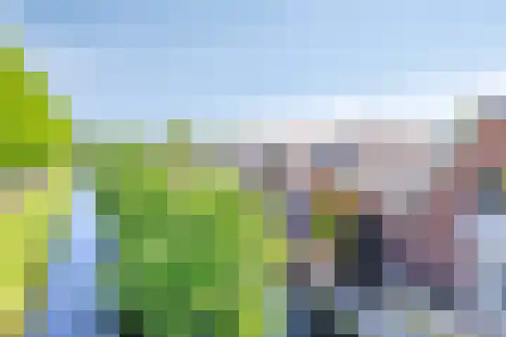 Houtsingel 4 Boskoop thumbnail 31
