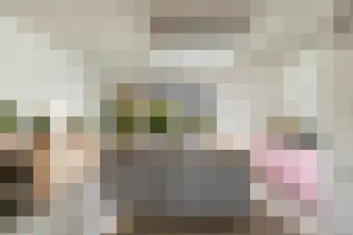 Houtsingel 4 Boskoop thumbnail 7