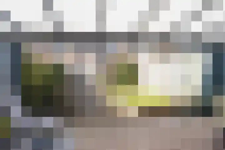 Houtsingel 53 Zutphen thumbnail 31