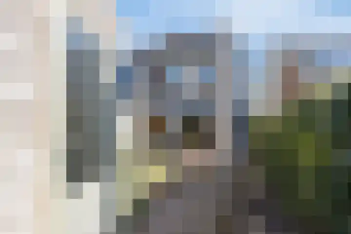 Houtsingel 53 Zutphen thumbnail 33